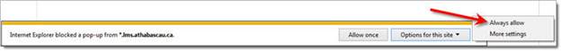 IE Popup Blocker Always Allow