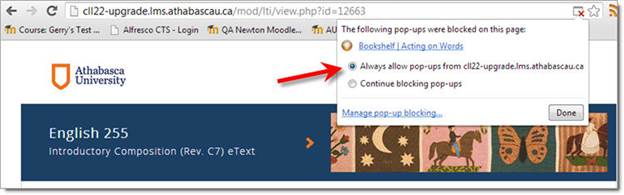 Always Allow radio button